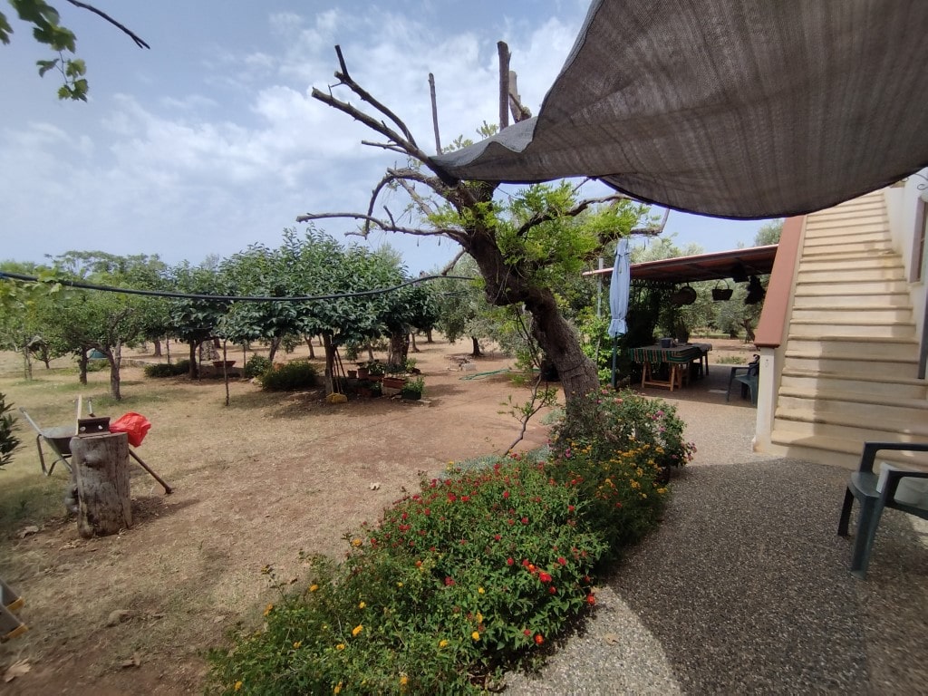 Giano Group Immobiliare